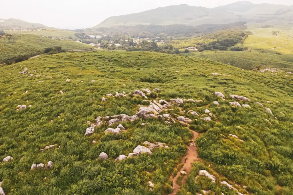 スポット① 平尾台(小倉南区)|日本離れしたカルスト台地